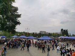 黄金周相关情况综述1699.png