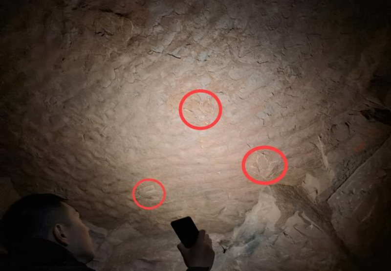 恐龙馆专家赴乐山考察 千佛岩景区足印系白垩纪恐龙足迹586.png